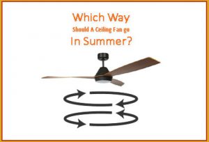 Which Direction Should A Ceiling Fan Go In Summer