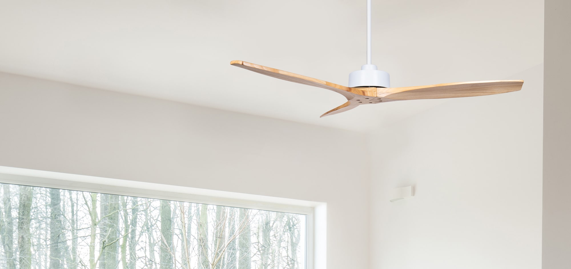 the home of ceiling fans
