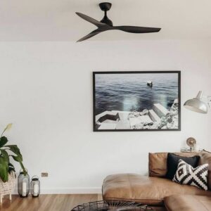 Claro Whisper DC 48" Ceiling Fan insitu4