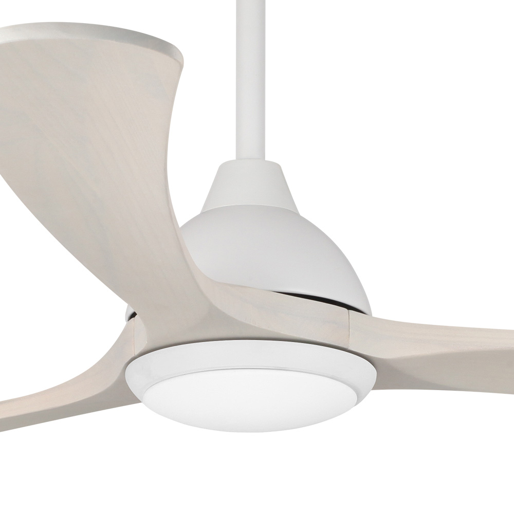 fanco-sanctuary-dc-ceiling-fan-with-cct-led-light-black-white-70-inch-motor