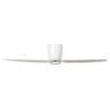 Eglo Seacliff Ceiling Fan CCT LED Light DC 52