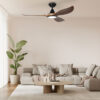 eglo-noosa-with-light-black-teak-in-modern-living-room