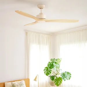 fanco-earthfirst-wynd-dc-ceiling-fan-with-base-cap-insitu