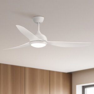 Ceiling Fans with Lights