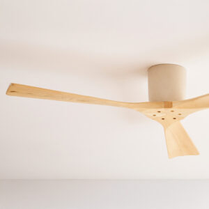 Modern Ceiling Fans