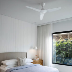 Indoor Ceiling Fans