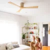 earthfirst-gaia-dc-ceiling-fan-no-light-54-inch-insitu