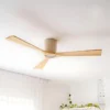 earthfirst-gaia-dc-ceiling-fan-with-base-cap-48-inch-with-remote