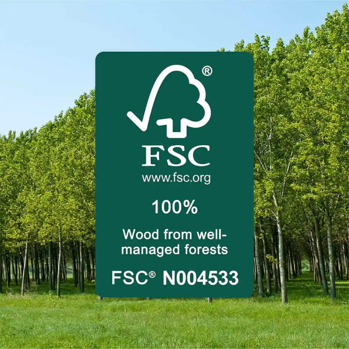 earthfirst-gaia-fsc-license-code-fsc-n004533