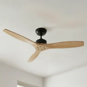 fanco-wynd-dc-54-inch-black-with-natural-blades-no-light