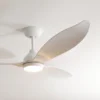 claro-essentials-spirit-allure-52-inch-dc-ceiling-fan-with-led-light-close-up-insitu