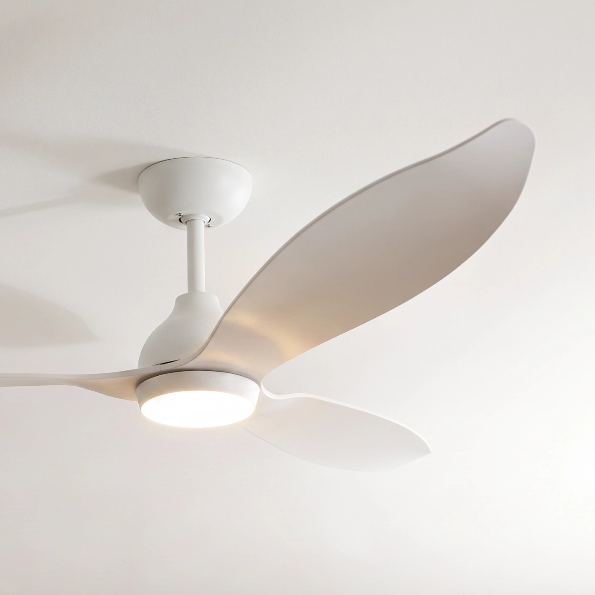 claro-essentials-spirit-allure-52-inch-dc-ceiling-fan-with-led-light-close-up-insitu